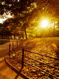 Sunrise in Central Park