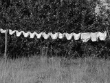 Underwear Hanging to Dry