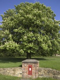 GR Royal Mail Rural Letter Box