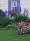 Blooming Cottage Flowers