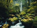Stream and Waterfall in Autumn