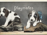 Playmates