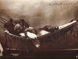 Summer Comfort