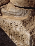 Detail of Heiroglyphics on a Colossi of Ramesses II at Sohag