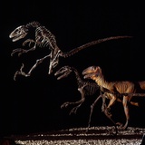Skeleton and Model of Deinonychus
