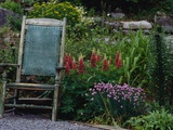Old Chair in a Garden