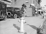 Dog Seated on Fire Hydrant