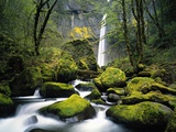 Stream Flowing over Mossy Rocks