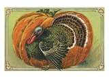 Thanksgiving Greetings with a Turkey and Pumpkin