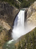 Lower Yellowstone Falls