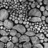 Buy Lumber at AllPosters.com