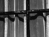 Window With Curtains, 1972