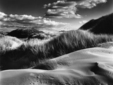 Dunes and Grasses, Oceano, 1957