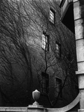 Buy Vine-Covered Apartment Building, Manhattan, 1945 at AllPosters.com