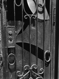 Buy Door, New York, 1943 at AllPosters.com