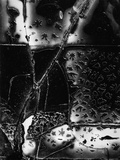 Buy Broken Glass, 1955 at AllPosters.com