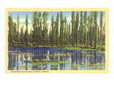Xochimilco, Floating Gardens