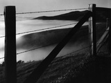 Fence and Hills, Big Sur, 1962