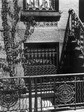 Brownstone Windows, Manhattan, 1944