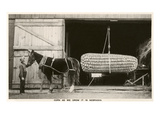 Giant Ear of Corn with Plow Horse, Nebraska