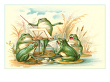 Frog Ensemble
