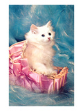 White Kitten in Basket, Retro