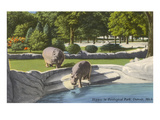 Hippopotamus in Zoo, Detroit, Michigan