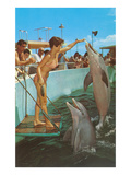 Lady in Bikini Feeding Porpoise