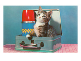 Kitten in a Lunchbox, Retro