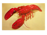 Buy Red Lobster at AllPosters.com