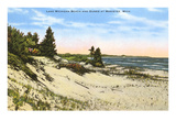 Buy Beach and Dunes, Manistee, Michigan at AllPosters.com