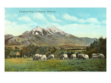 Emigrant Peak, Livingston, Montana