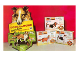 Dogs of the World Paint by Numbers Advertisement