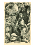 Motifs from Siegfried