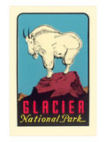 Buy Rocky Mountain Goat, Glacier National Park, Montana at AllPosters.com