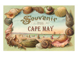 Souvenir from Cape May, New Jersey