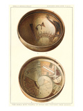 Hopi Food Bowls from Sikyatki