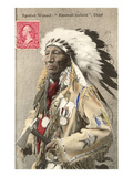 Buy Spotted Weasel, Ecureuil Tachete, Plains Chief at AllPosters.com