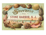 Souvenir from Stone Harbor, New Jersey