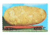 Buy Giant Potato on Rail Car at AllPosters.com
