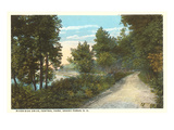 Buy Central Park, Grand Forks, North Dakota at AllPosters.com