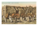 Burros with Firewood, Santa Fe, New Mexico