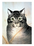 Buy Currier & Ives: Cat at AllPosters.com