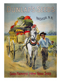 Buy Seed Company Poster, C1880 at AllPosters.com