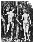 D?Rer: Adam & Eve, 1504