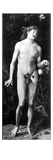 Adam