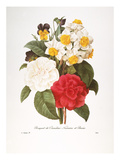 Buy Redoute: Bouquet, 1833 at AllPosters.com