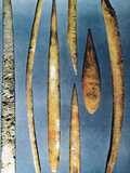 Paleolithic Spears