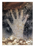Buy Cave Art: Pech Merle at AllPosters.com