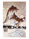 'Call Of The Wild'